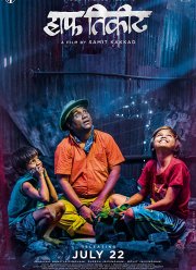 Льготный билет (2016)