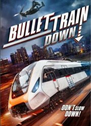 Крушение скоростного поезда (2022)