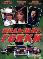Большие гонки (1965)