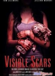 Видимые шрамы (2012)