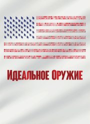 Идеальное оружие (2020)