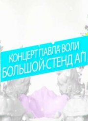 Павел Воля. Большой stand-up концерт (2015)