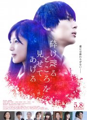 Прах моей плоти словно огромная галактика (2021)