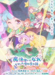 История о девушке которая не могла стать волшебницей (2024)