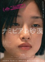 Пустыня Намибии (2024)