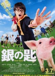 Серебряная ложка (2014)