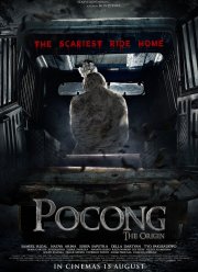 Саван призрака. Начало (2019)