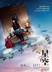 Звездная ночь (2011)