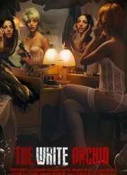Белая орхидея (2018)