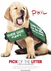 Щенячья школа (2018)