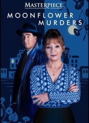 Совы охотятся ночью (2024)