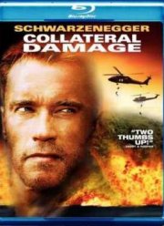 Возмещение ущерба (2002)