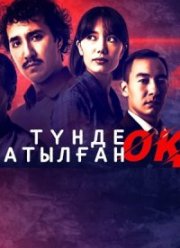 Выстрел ночью (2023)