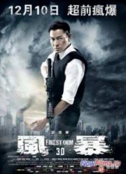 Огненная буря (2013)