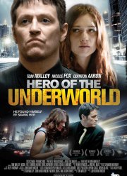 Герой преступного мира (2016)