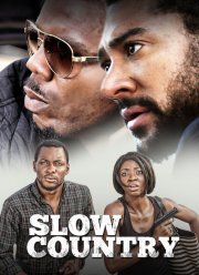 Неразвитая страна (2017)