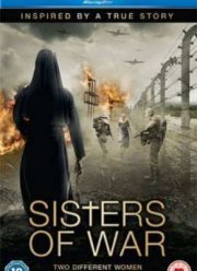 Сестры войны (2010)