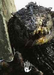 Оатс: Часть 1 - Ракка (2017)