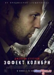 Эффект колибри (2013)
