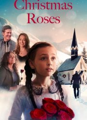 �������������� ���� (2025)