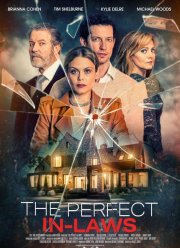 Идеальная родня (2023)