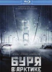 Буря в Арктике (2010)