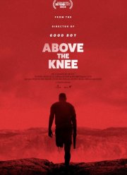 Выше колена (2025)