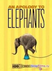 В защиту слонов (2013)