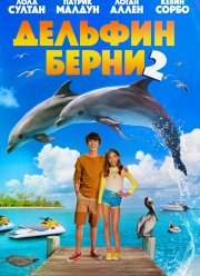 Дельфин Берни 2 (2019)