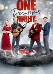 Одна декабрьская ночь (2021)