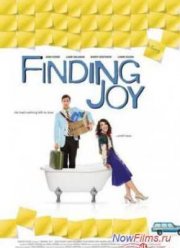 В поисках радости (2013)
