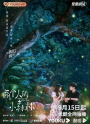 Роман в маленьком лесу (2022)