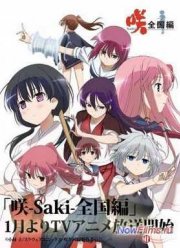 Саки: Национальный этап (2014)