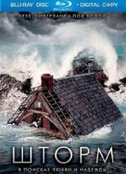 Шторм (2009)