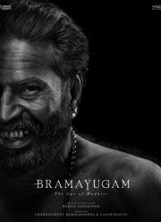 Эпоха безумия (2024)