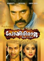 Неустрашимый Раджа (2010)