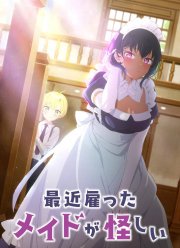 Моя новая горничная очень подозрительна (2022)