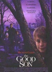 Хороший сын (1993)