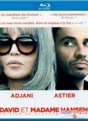 Давид и мадам Ансен (2012)