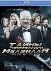 Тайны профессора Мелвилла (2010)