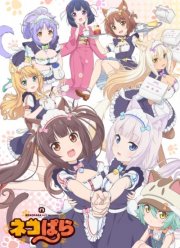 Кошачий рай (2020)