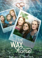 ���� ����� (1-4 �����)