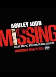 Пропавший без вести (2012)