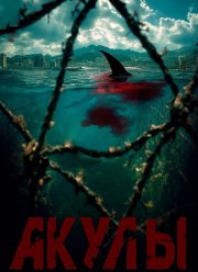 Акулы (2025)