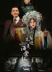 Зимняя бегония (2020)