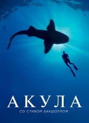 Акула со Стивом Бакшоллом (2021)