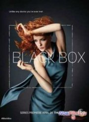 Чёрный ящик (2014)
