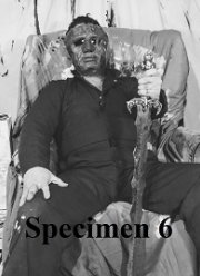 Образец № 6 (2020)