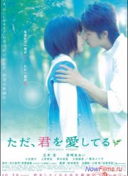 Я просто люблю тебя (2006)