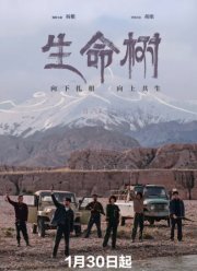 ��������� ���� / ������ ����� (2026)